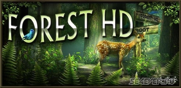 Forest HD FULL