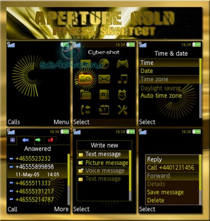 Aperture Gold Fitness - Flash Theme (standby & menu) for Sony Ericsson [320x240]