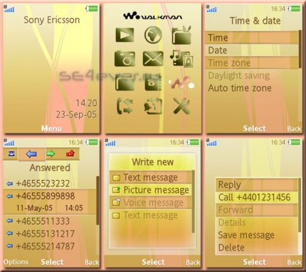 Gold Lines Custom 2 - Flash Theme 2.0 for Sony Ericsson [240x320]