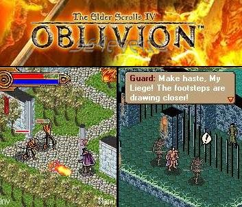 The Elder Scrolls IV Oblivion - Java   Sony Ericsson [176x220]