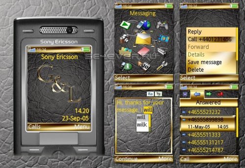 Gold and Leather -   Sony Ericsson [240*320]