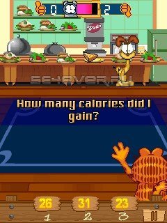 Garfield: Train your brain - java 