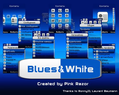 Blues&White IC File For Sony Ericsson 510