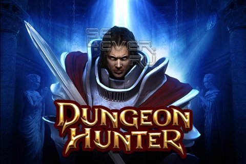 Dungeon Hunter -   Android
