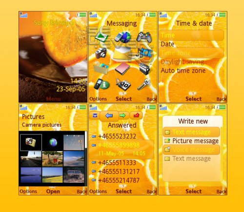 Orange-Live - Theme For Sony Ericsson A200