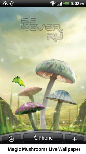 Magic Mushrooms -    ANDROID