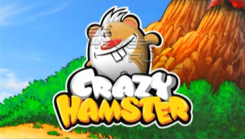 Crazy Hamster -   Android