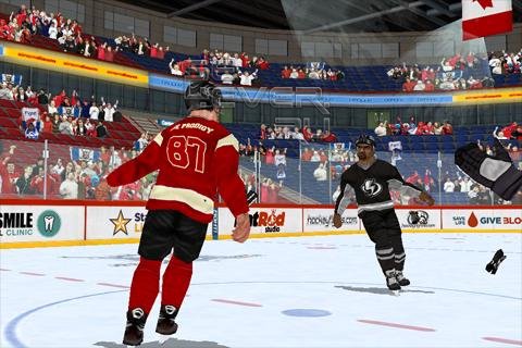 Hockey Fight 