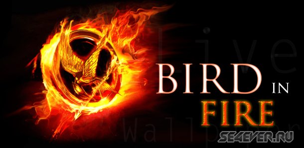 Bird in Fire Live Wallpaper