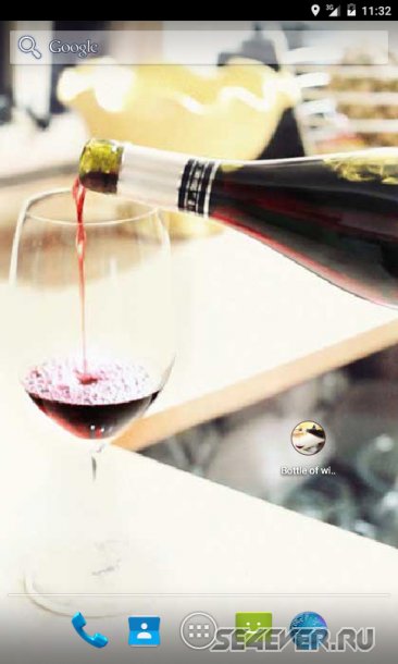 Bottle of Wine -  