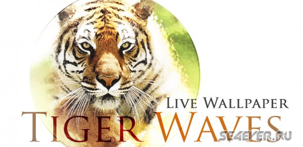Tiger Waves Live Wallpaper