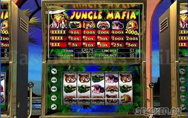        Jungle Mafia