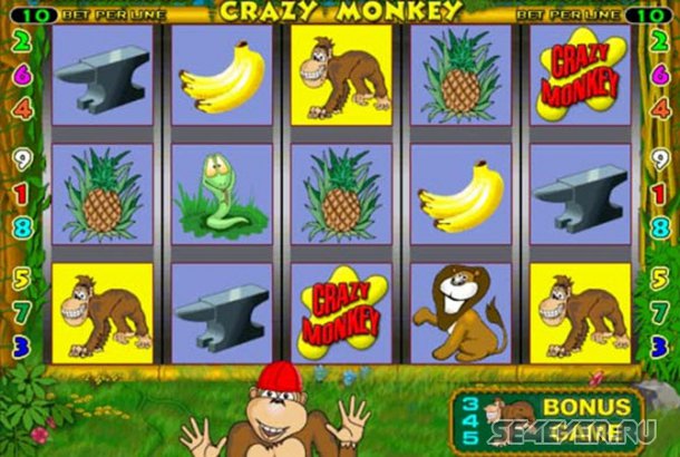  Crazy monkey     Free avtomatyplay!