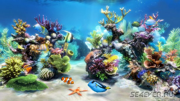 Aquarium Free Live Wallpaper